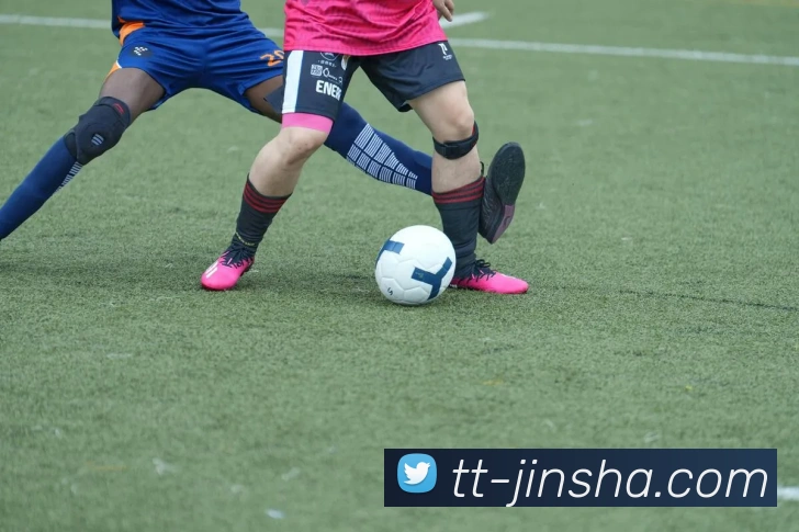 金沙娱乐平台生态图